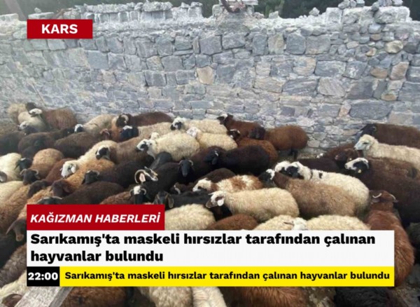 Sarıkamış’ta maskeli hırsızlar tarafından çalınan hayvanlar bulundu